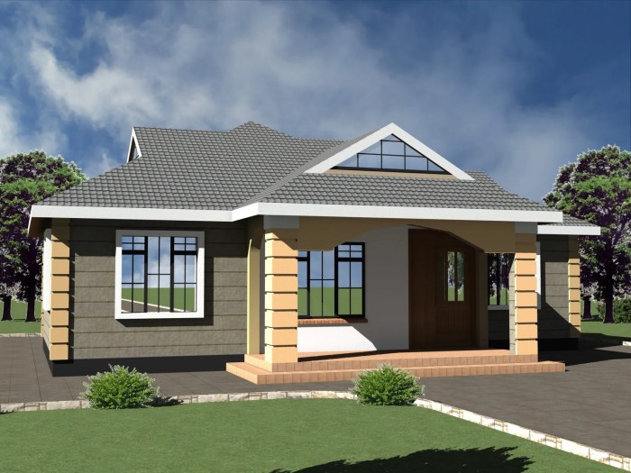 Modern 3 bedroom house design