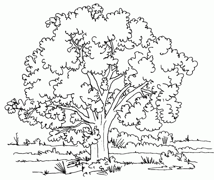 Coloring pages of trees