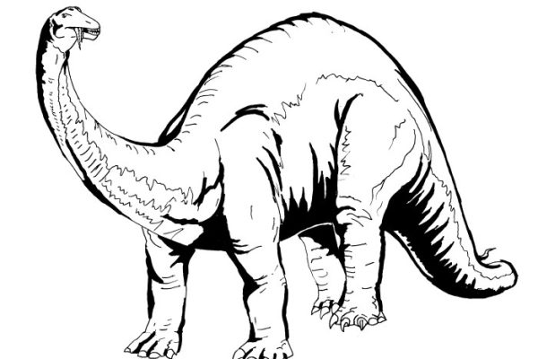 Coloring pages for kids dinosaurs