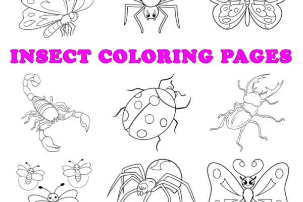 Insect coloring games for kids