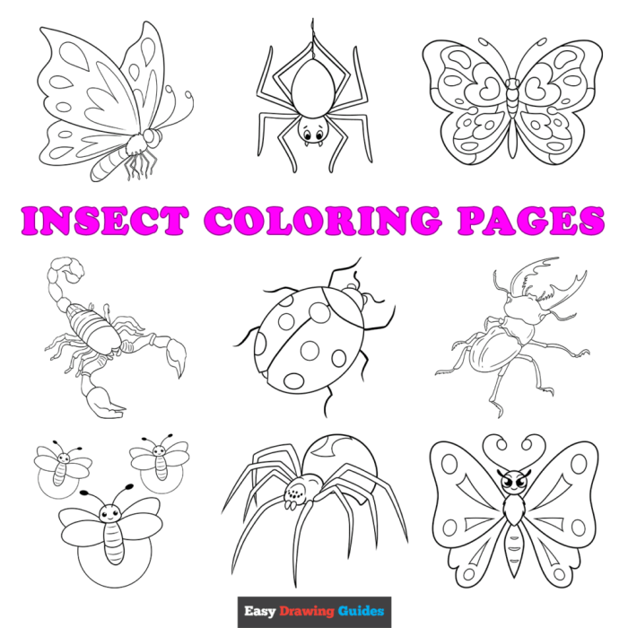 Insect coloring games for kids