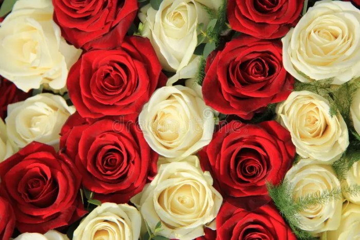 White wedding dress with red roses