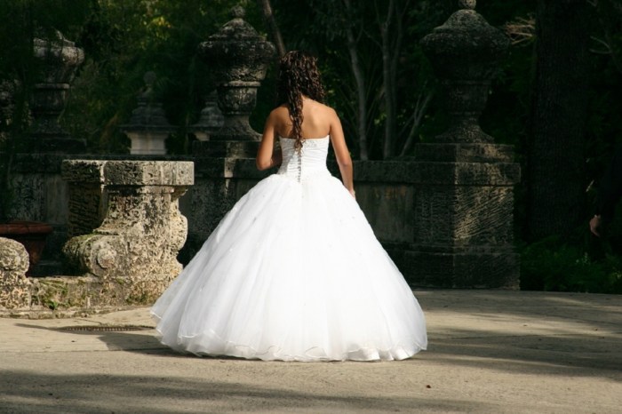 Ball gown vs a line wedding dress